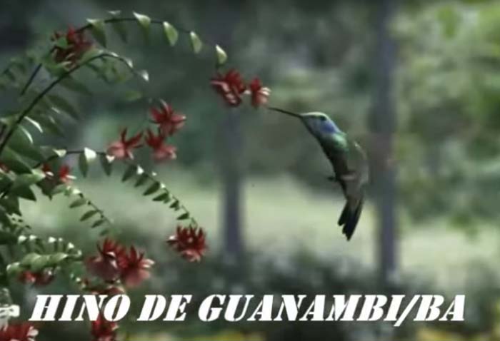 Vídeo